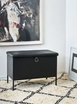 Maze Frank Storage Bench, Black -Stools Store Frank black