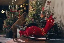 Fatboy Original Bean Bag, Red -Stools Store X mas afterparty 22